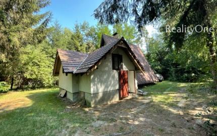 Chata v Plaveckom Štvrtku