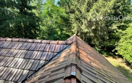 Chata v Plaveckom Štvrtku