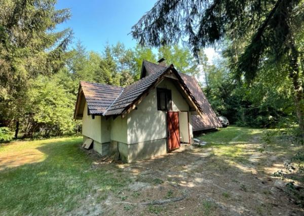 Chata v Plaveckom Štvrtku