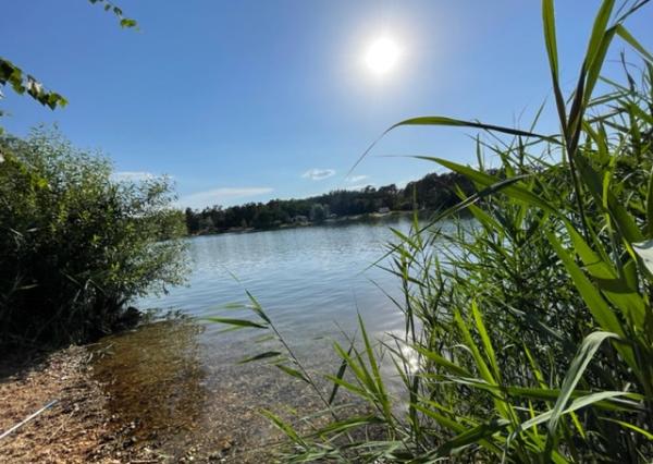 Chata v Plaveckom Štvrtku