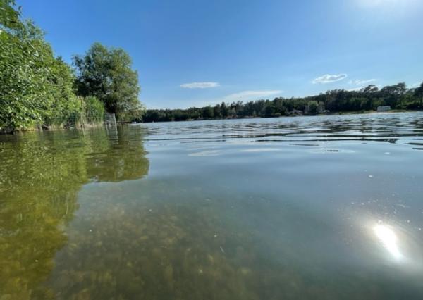 Chata v Plaveckom Štvrtku