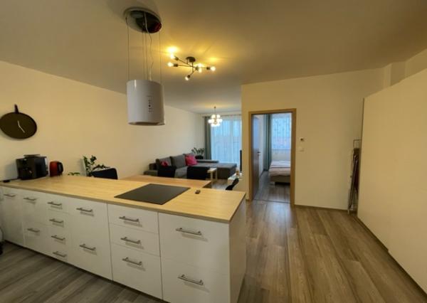 2-izb. byt v Novej Dedinke