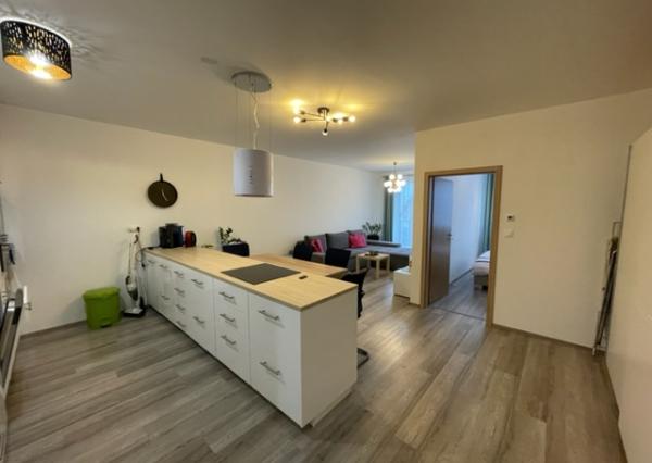 2-izb. byt v Novej Dedinke