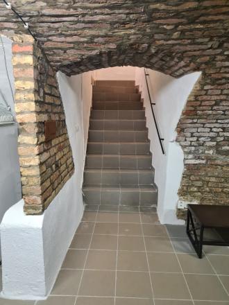 Klenbová pivnica s možnosťou bývania na Dunajskej - fotografia 6