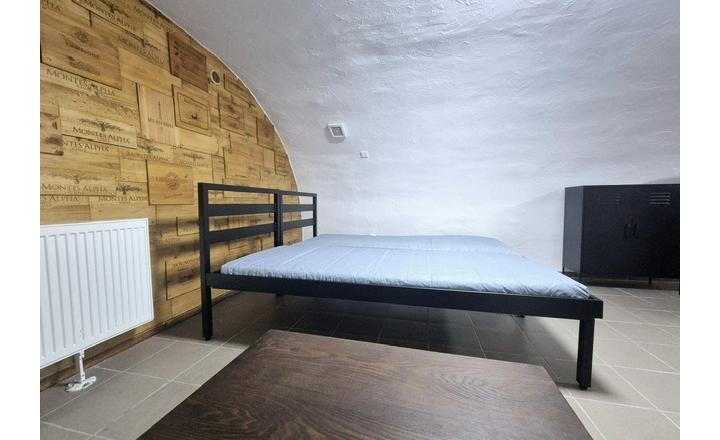 Klenbová pivnica s možnosťou bývania na Dunajskej - fotografia 9