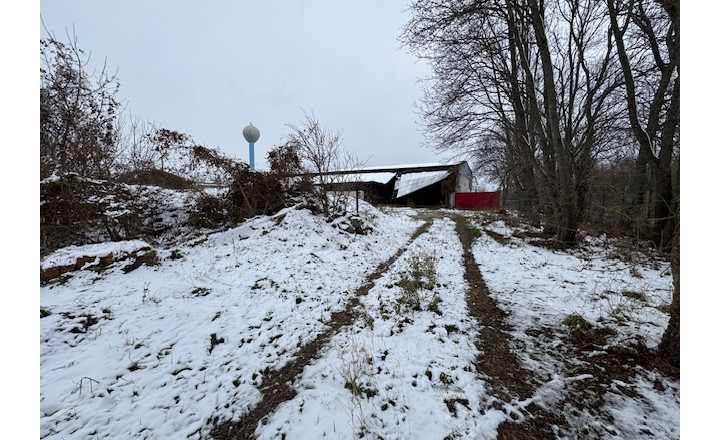Pozemok na halu Križovany nad Dudváhom - fotografia 5